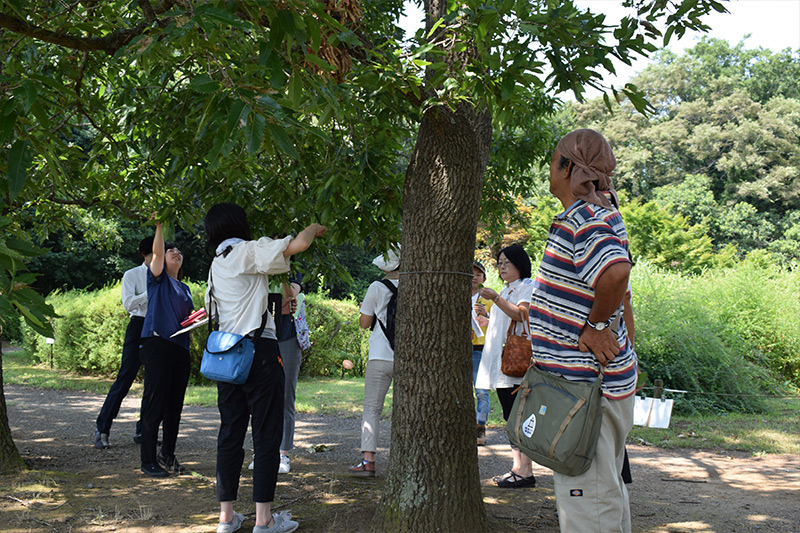 教員のための博物館の日