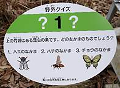 野外クイズに挑戦Ｑ＆Ａ