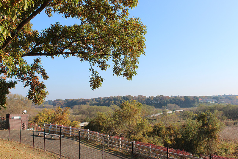 Sugao Marsh Gate