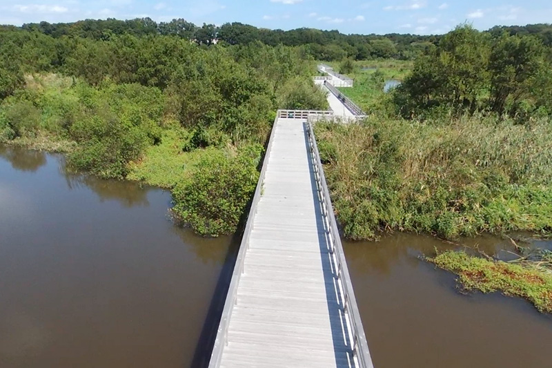 Sugao Marsh Friendship Bridge