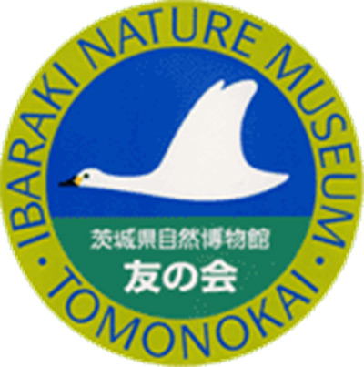 Museum Member