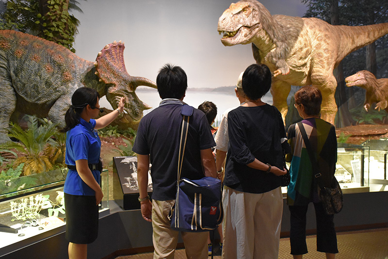 展示解説員によるガイドツアー