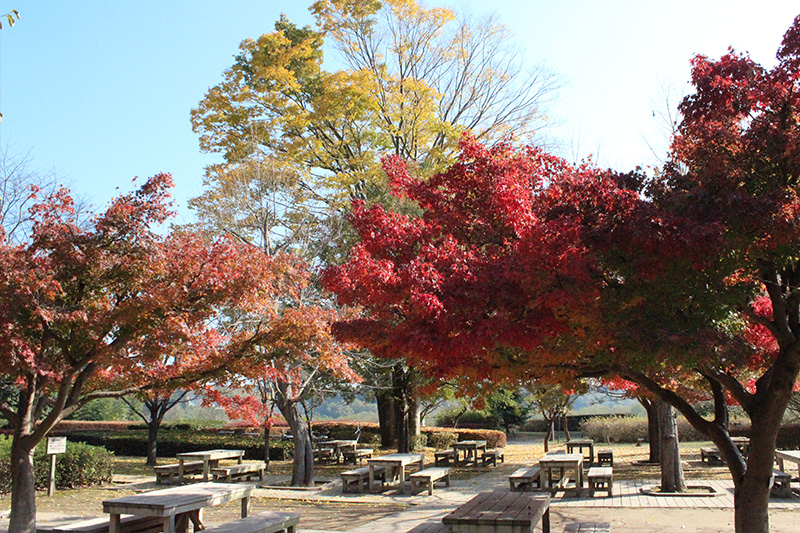 花木の広場