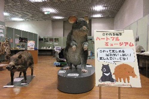 障害者を意識した展示