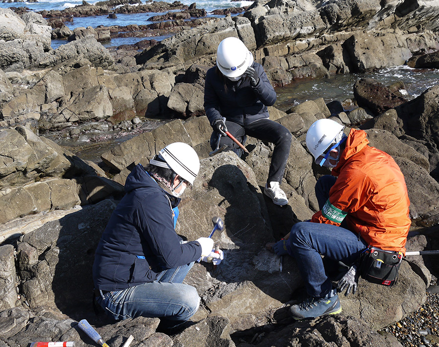 化石発掘のようす（ひたちなか市）