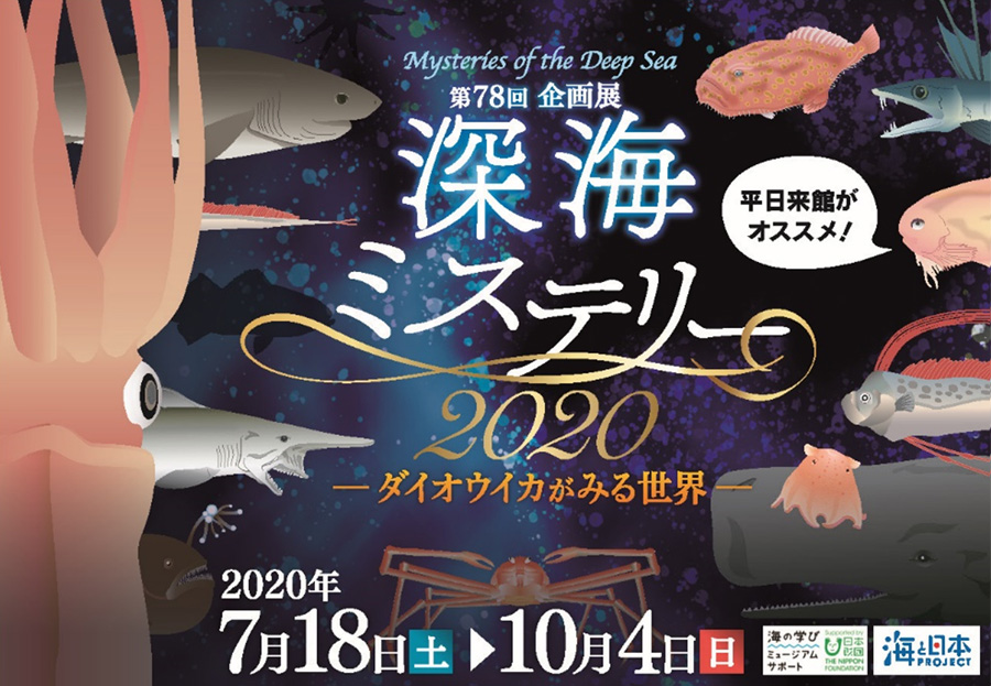 深海ミステリー2020 -ダイオウイカがみる世界-