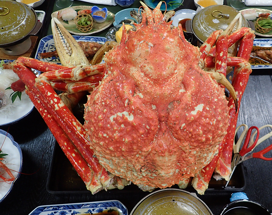 沼津市戸田の郷土の味 タカアシガニ