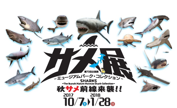 サメ展 -ミュージアムパーク・コレクション-