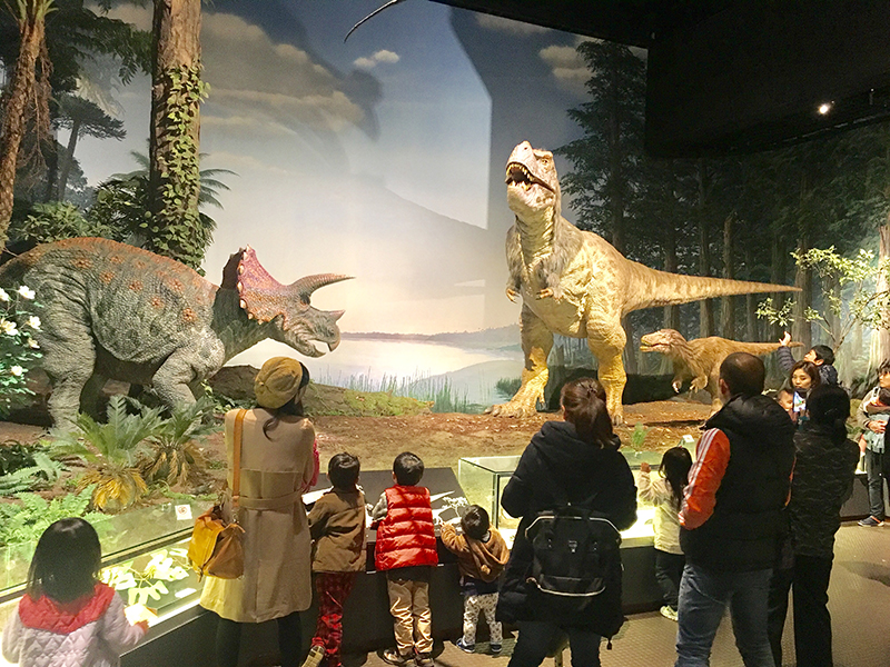 動く恐竜（ティラノサウルスの親子とトリケラトプス）の展示（当館常設展示）