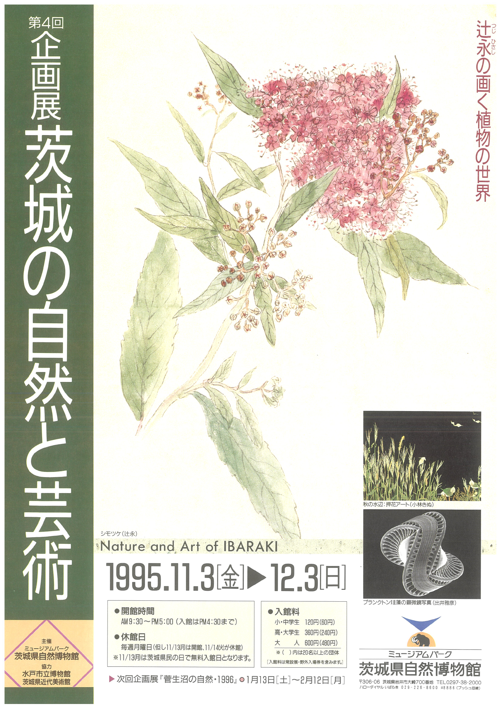 茨城の自然と芸術－辻永の画く植物の世界－