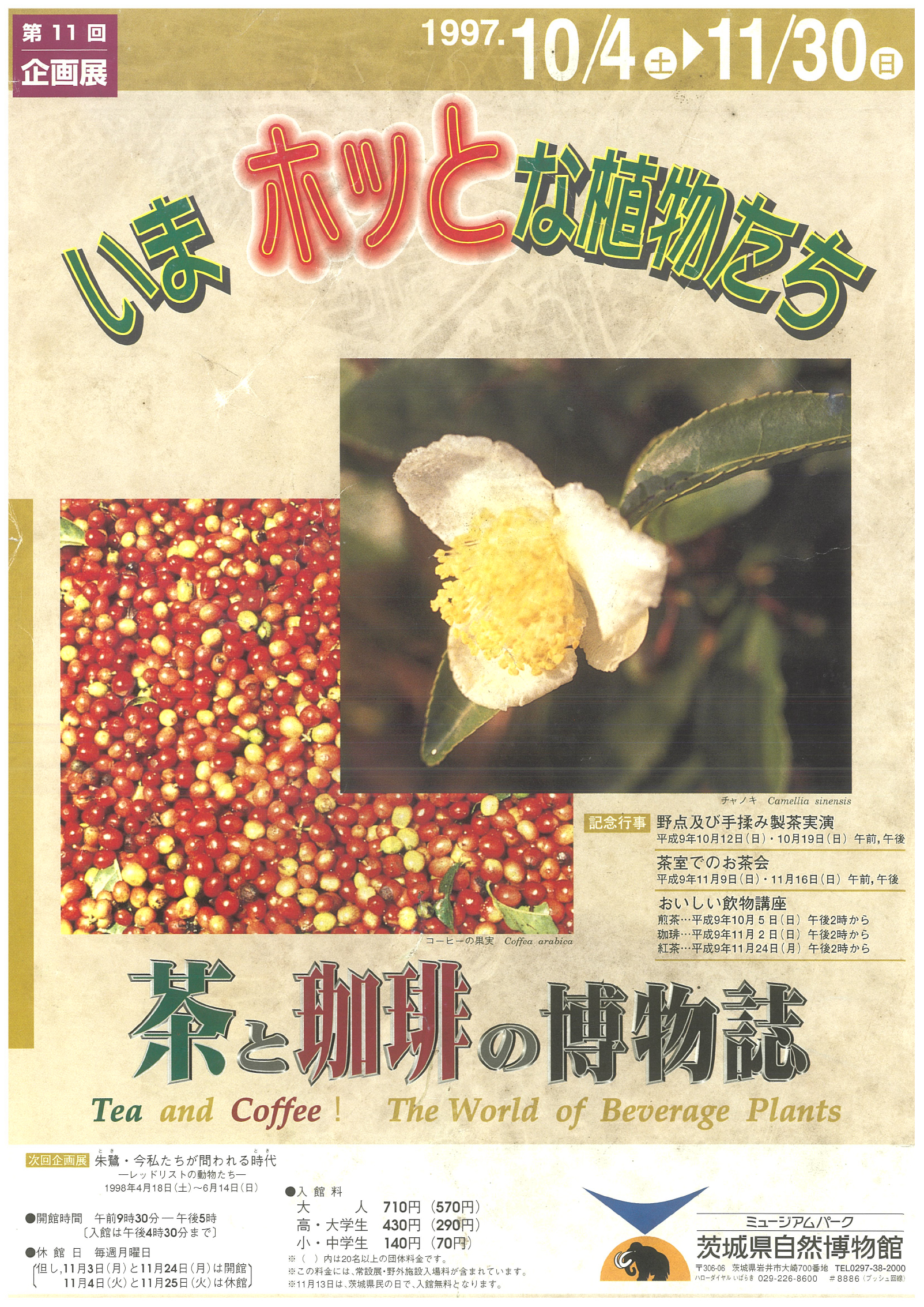 茶と珈琲の博物誌－いま ホッとな植物たち－