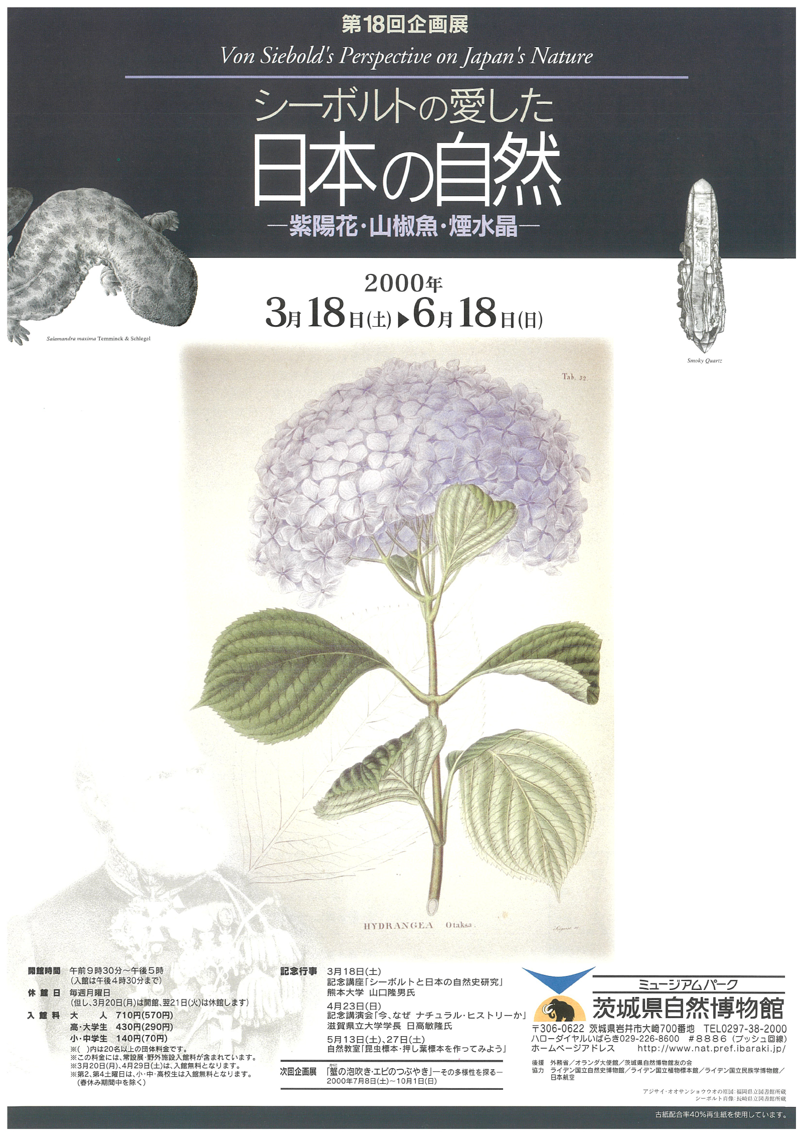 シーボルトの愛した日本の自然ー紫陽花・山椒魚・煙水晶ー