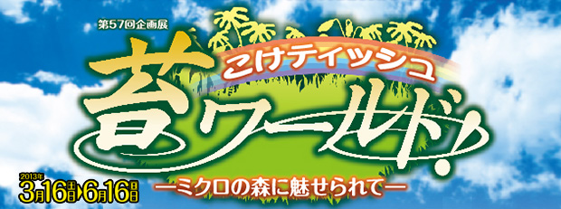 こけティッシュ 苔ワールド -ミクロの森に魅せられて-