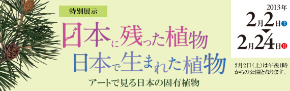 日本に残った植物 -日本で生まれた植物-