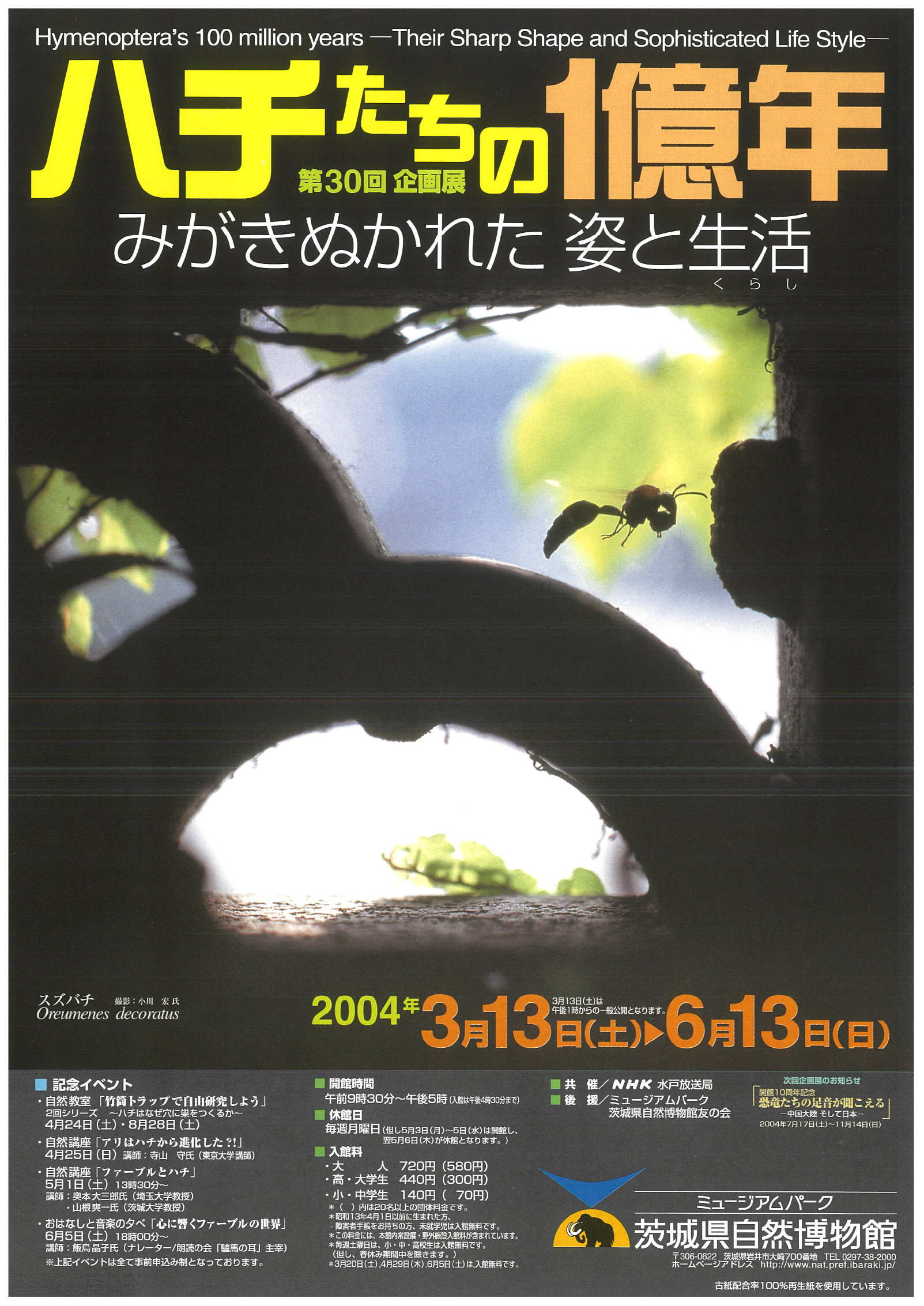 ハチたちの１億年　－みがきぬかれた姿と生活－