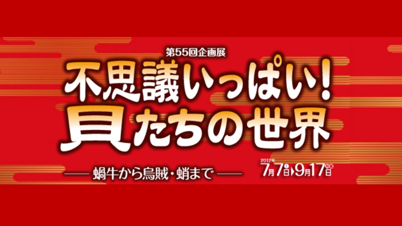 不思議いっぱい!貝たちの世界 -蝸牛から烏賊・蛸まで-