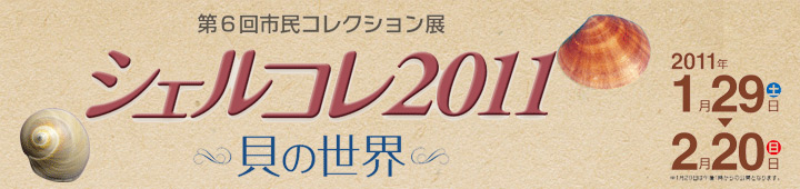 シェルコレ2011 -貝の世界-