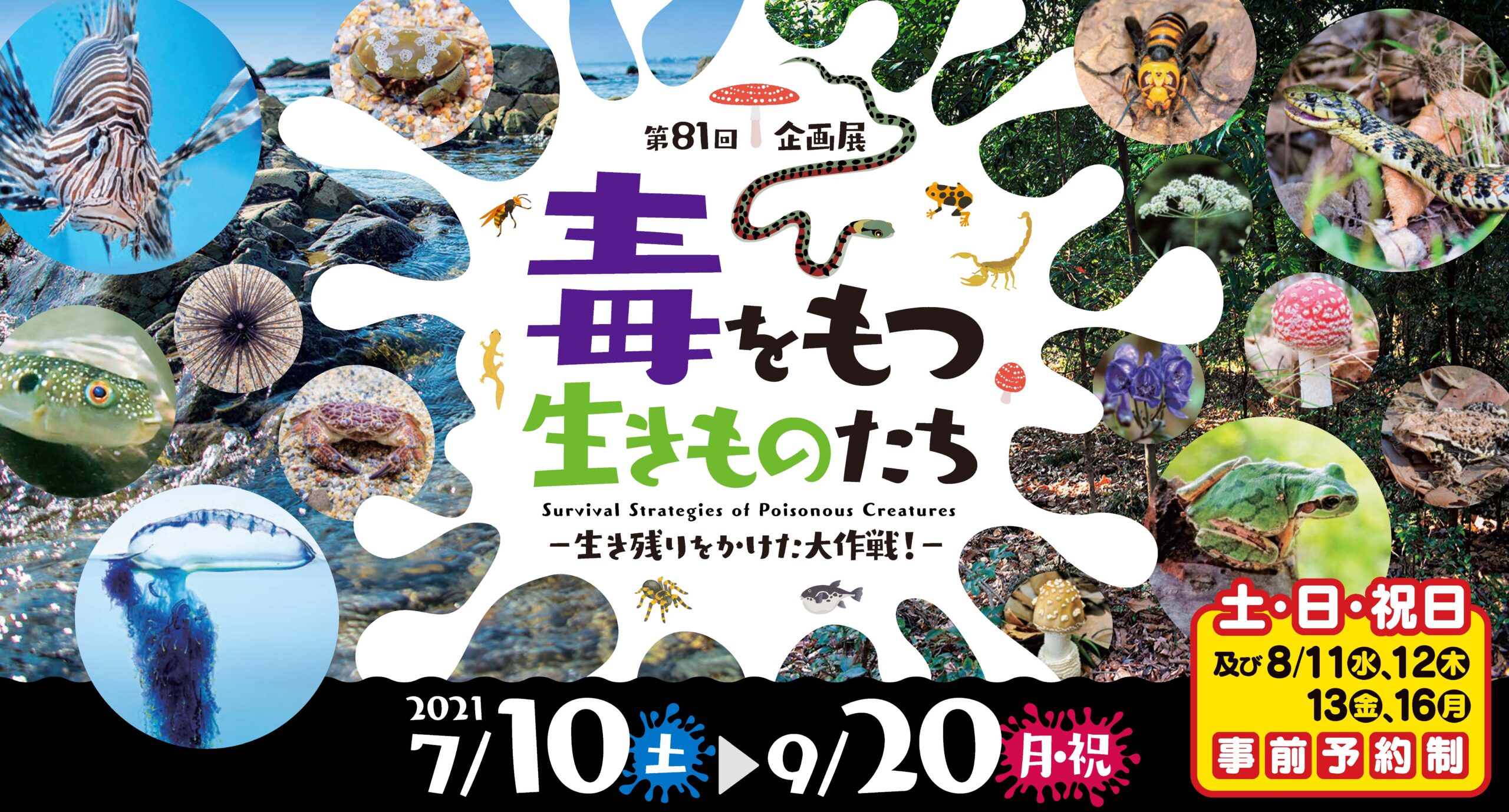 毒をもつ生きものたち -生き残りをかけた大作戦！-