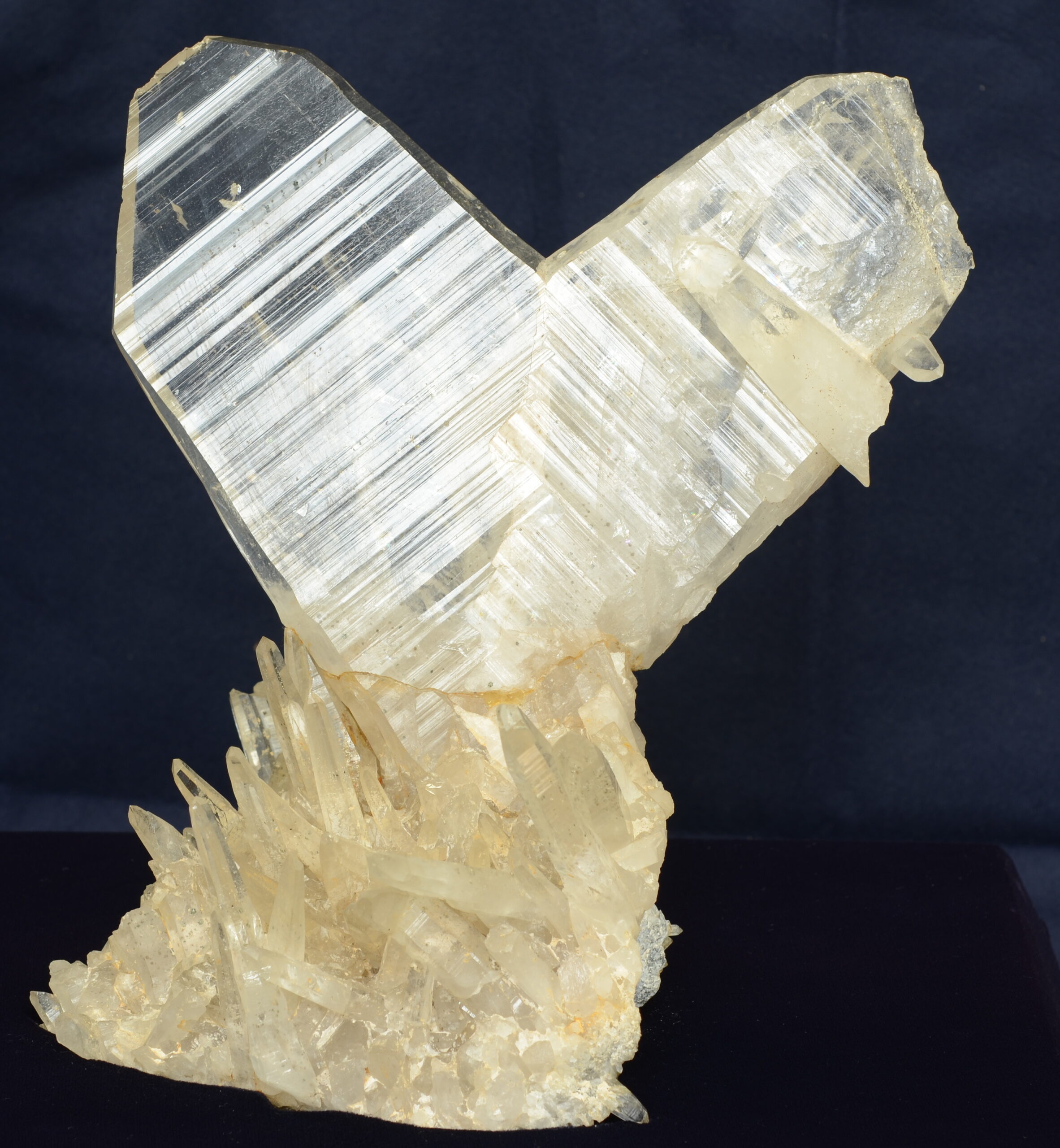 水晶（日本式双晶）　　（所蔵：国立科学博物館/撮影：門馬綱一）