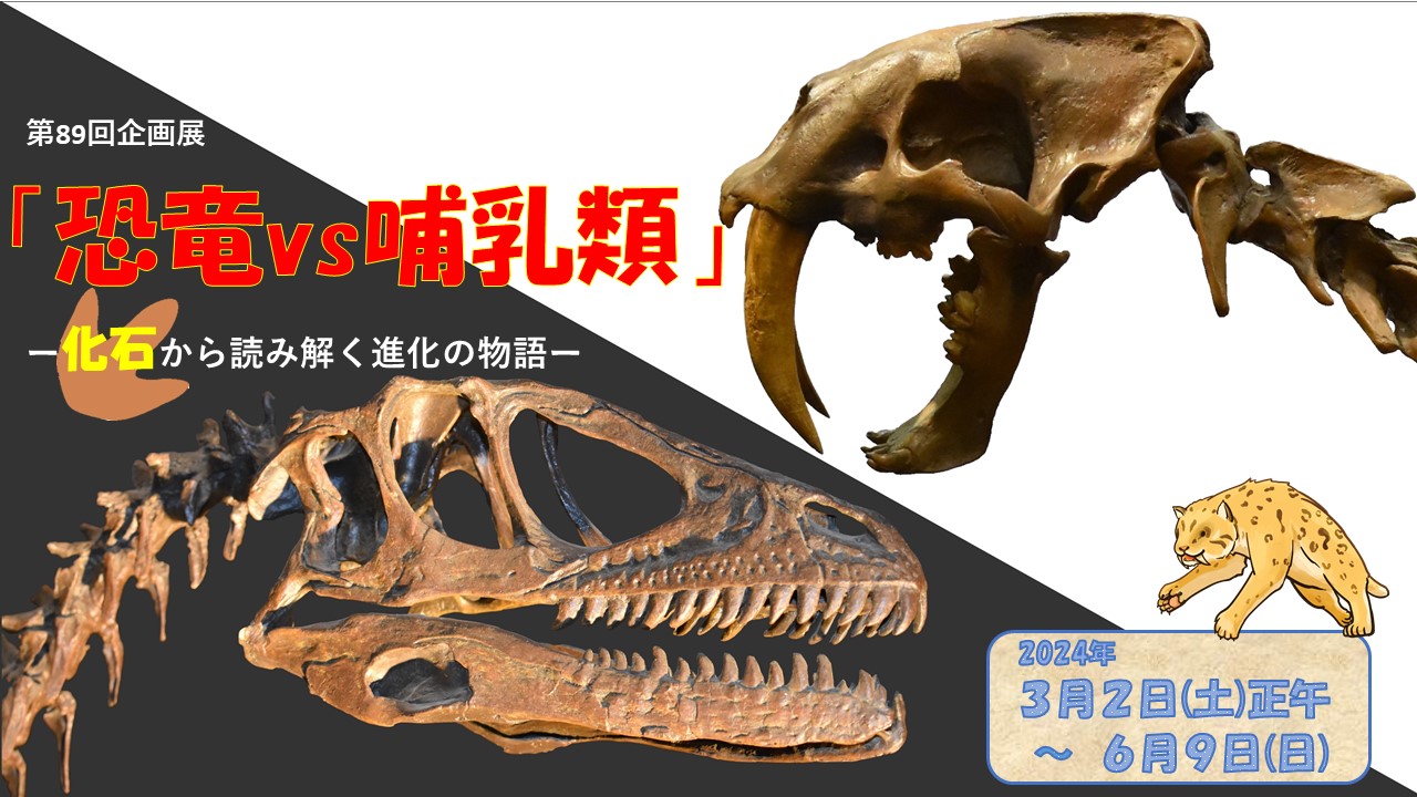 恐竜vs哺乳類 ー化石から読み解く進化の物語ー | ミュージアムパーク