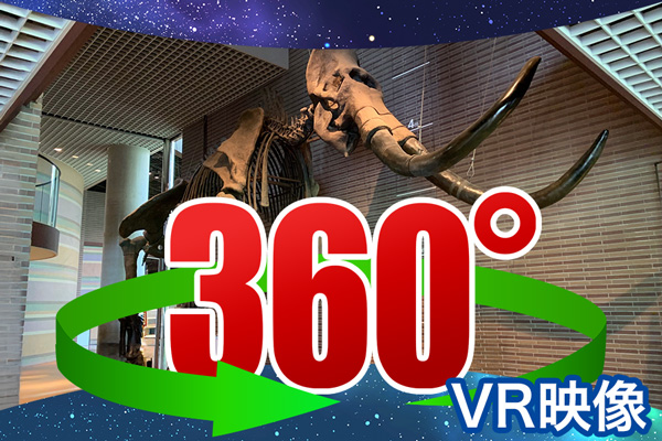 360°VR映像
