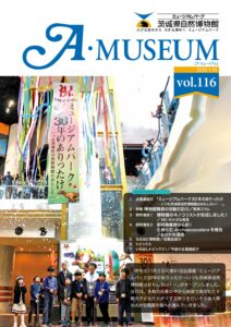 Vol.116