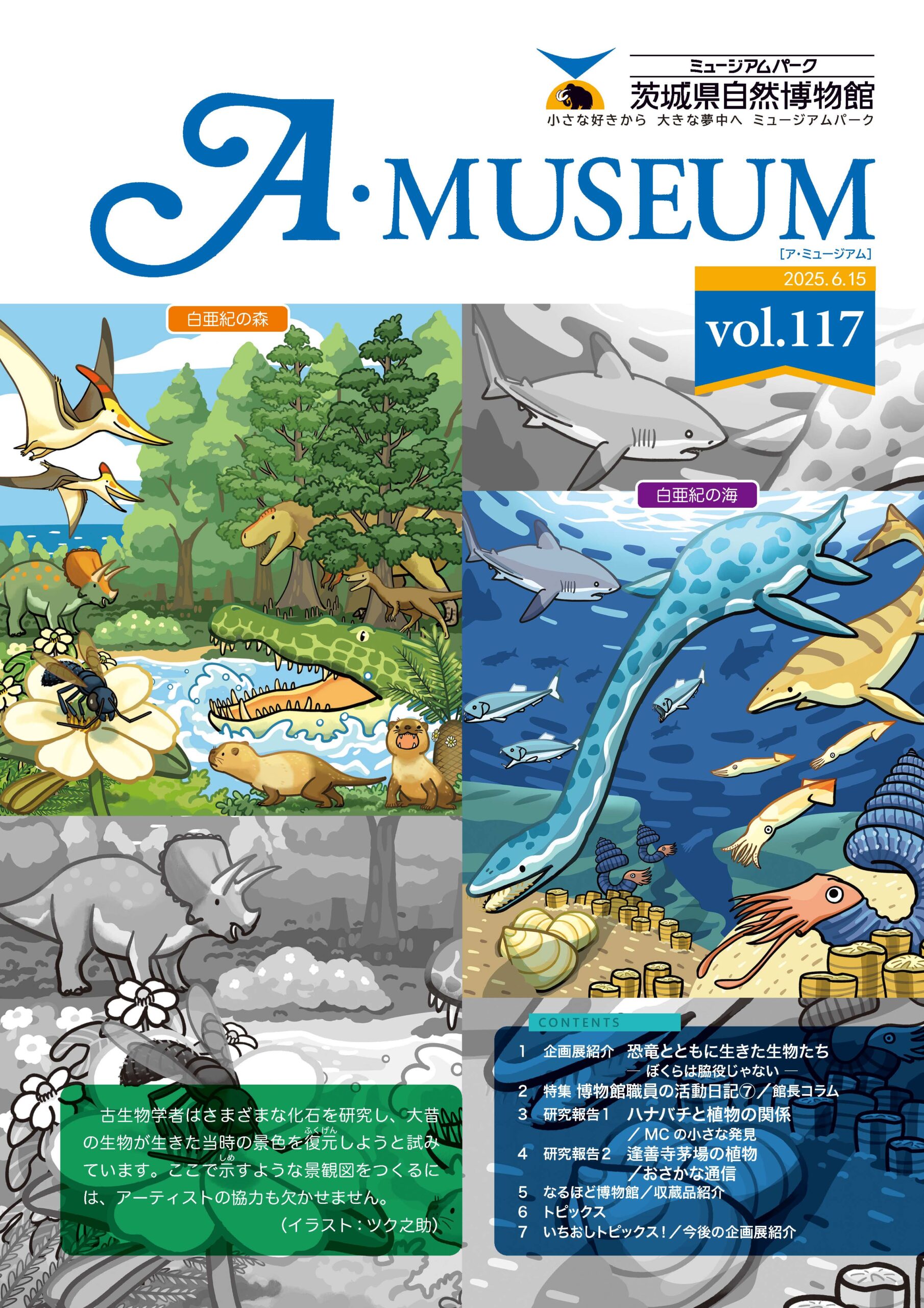 Vol.117
