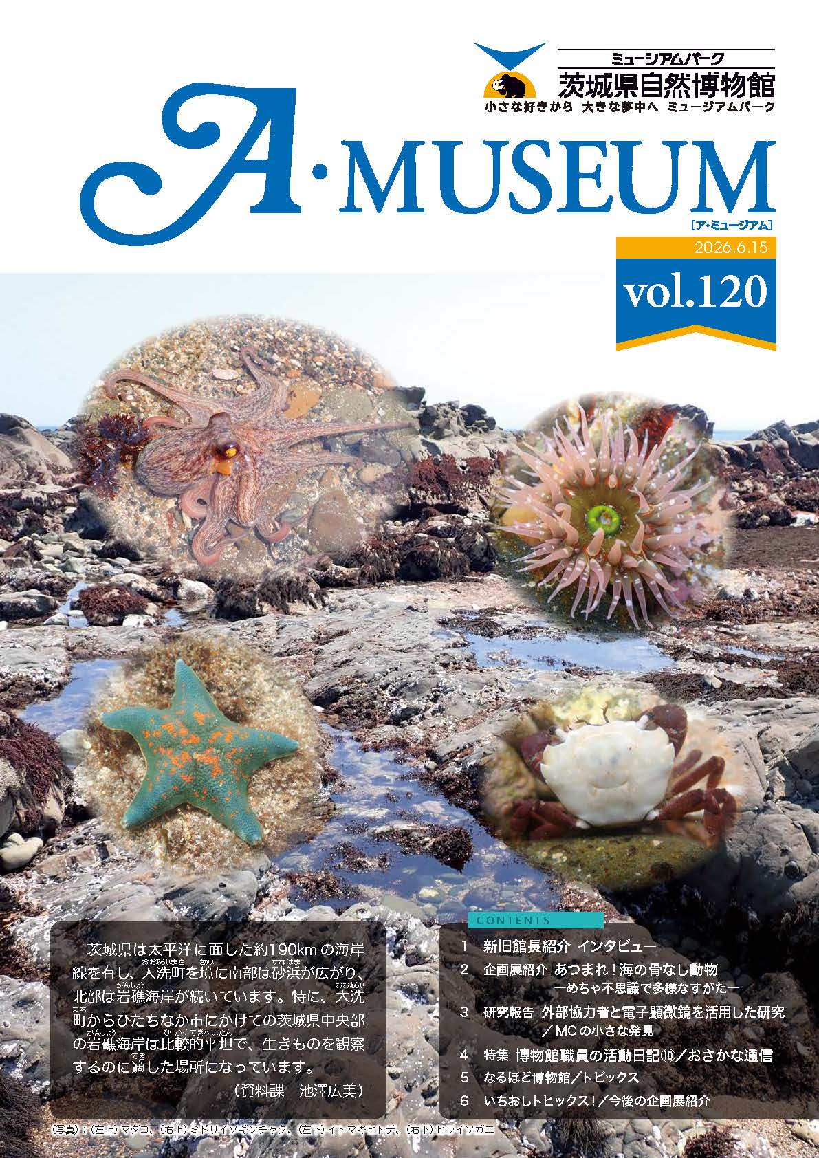 Vol.120